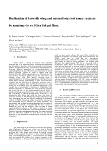 Replication of butterfly wing and natural lotus leaf nanostructures by