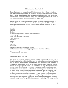 DNA Isolation from Onion