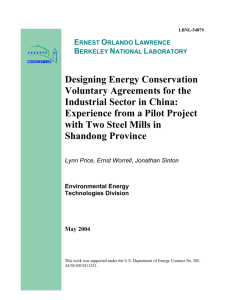 Designing Energy Conservation Voluntary Agreements for the