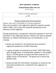 Gene_Expression__mutations_and_Recombinant_DNA_tanya