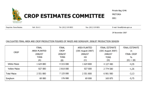 calculated final crop of sorghum: 2006/07 production season