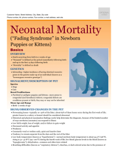 neonatal_mortality