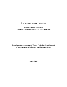 Background document