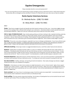 Equine Emergencies - Roche Equine Veterinary Services
