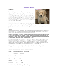 Dog Health and Reproduction