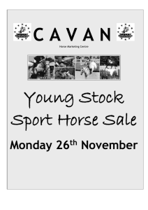 Lot No - Cavan Equestrian and Horse Marketing Centre