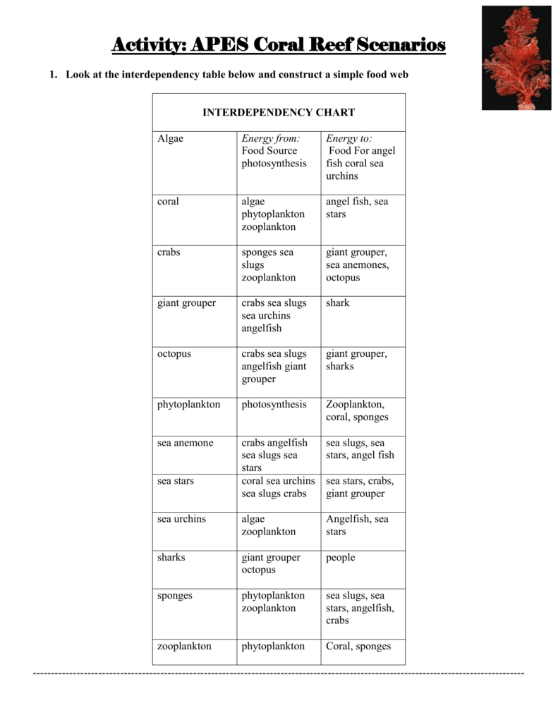 Fish Activity Chart