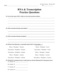 Transcription Practice Questions
