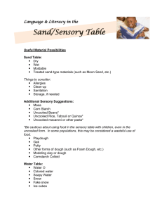 Language & Literacy in the Useful Material Possibilities Sand Table