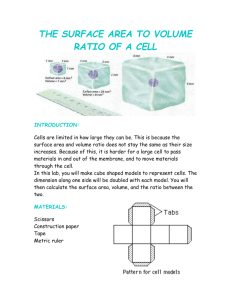 the surface area to volume ratio of a cell