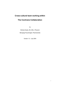 Reasons for cross-cultural team working
