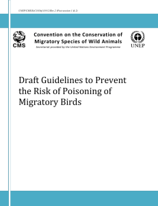Draft Guidelines to Prevent the Risk of Poisoning of Migratory