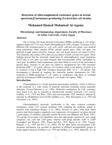 MIC-data of Aminoglycosides for repersentative examples of OSBLs