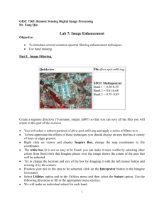 Lab 7: Spectral Enhancement: Band Ratioing and Image Filtering