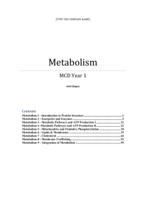 Metabolism 1