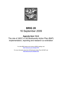 BRIG 20 16 September 2009 Agenda item 14.iii The role of JNCC in