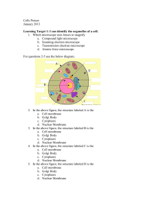 Cells Pretest - Warren County Schools