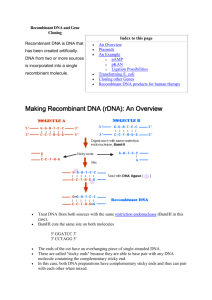 Recombinant DNA and Gene Cloning