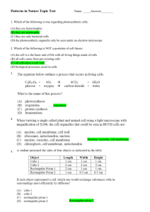 Patterns in Nature Topic Test Answers - aiss-biology-11