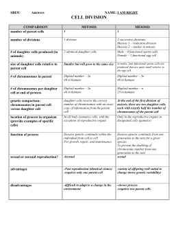 Eoc Study Guide Mitosis And Meiosis