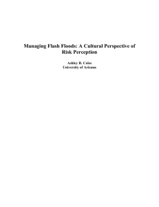 Managing Flash Floods: A Cultural Perspective of Risk Perception