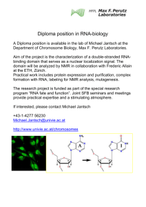 Diploma position in RNA
