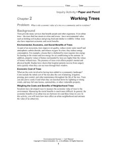 Working Trees Packet