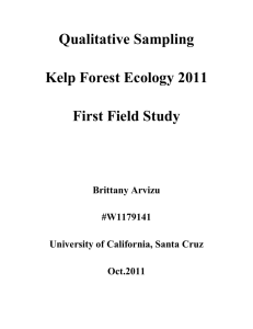 arvizu_qualitative_report-jf - University of California, Santa Cruz
