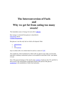 The Interconversion of Fuels and Why we get fat from eating too