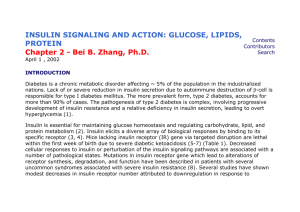 INSULIN SIGNALING AND ACTION: GLUCOSE, LIPIDS, PROTEIN