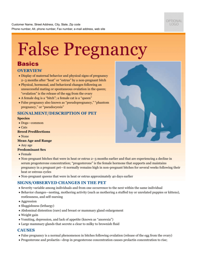 False pregnancy