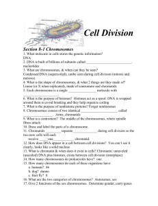 Cell Division super-duper study guide key