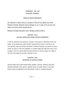 Noxious Weeds - Montcalm County