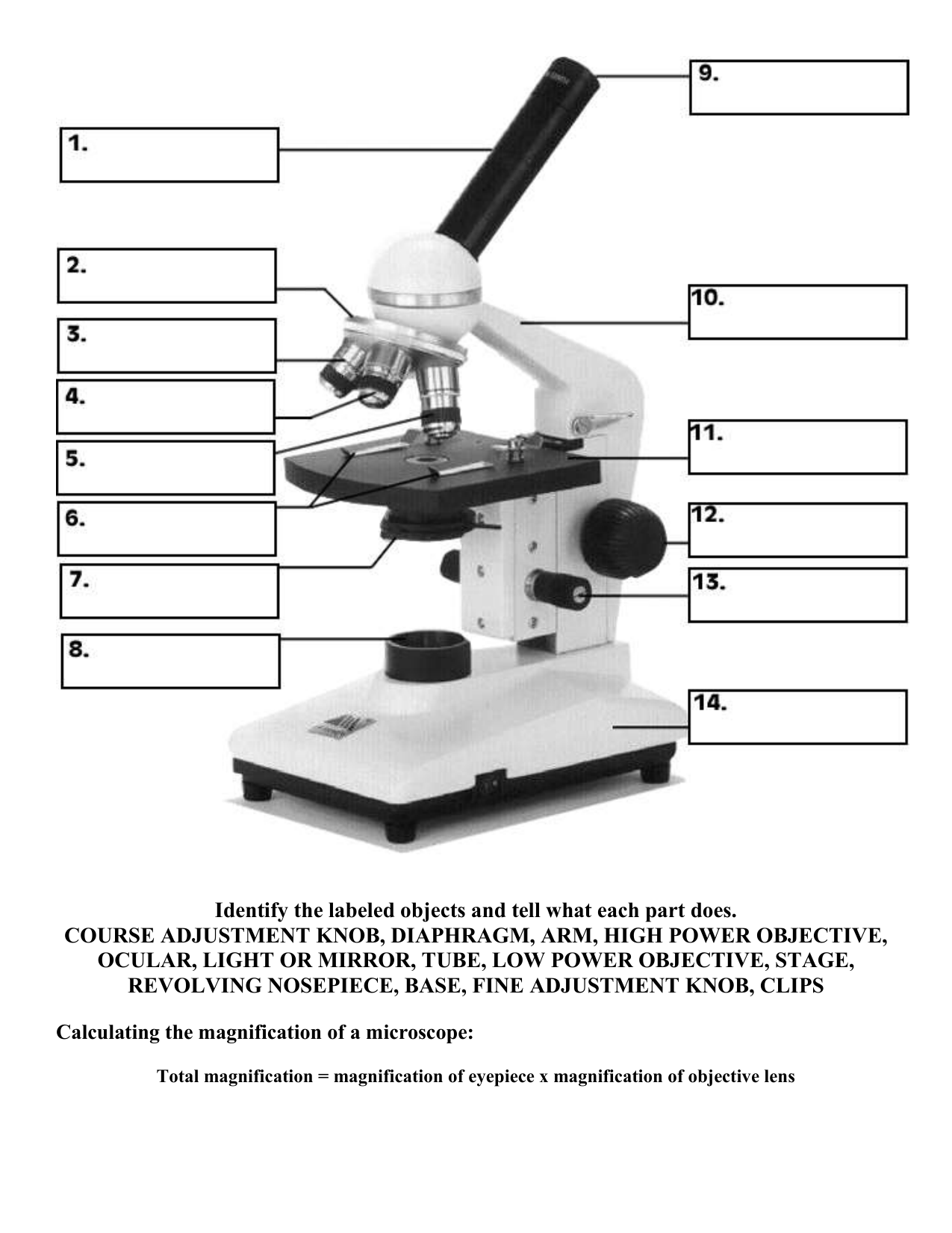Microscope Parts And Functions Worksheet