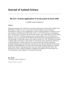 Review: System application of sexed semen in beef