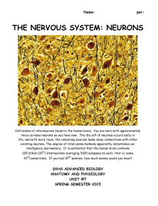 Nervous System UDS and lab packet rev 2015
