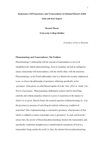 Phenomenology and Transcendence