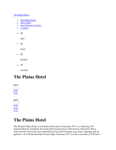 Happenings In and Around The Historic Plains Hotel 2007/2008