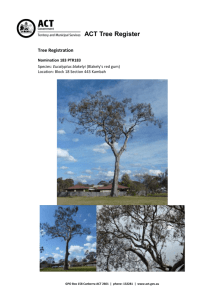 ACT Tree Register