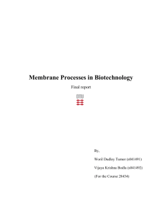 Membrane Processes in Biotechnology