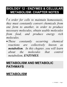 Biology 12 - Chapter 5