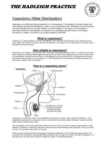 Vasectomy (Male Sterilisation)