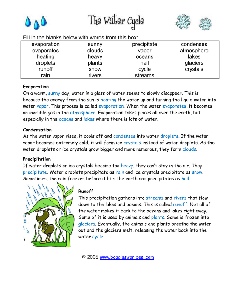 Water Cycle Worksheet Answers Pertaining To Biogeochemical Cycles Worksheet Answers