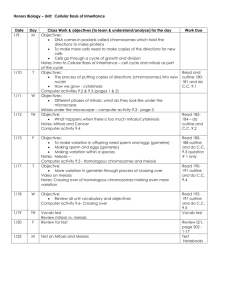 Honors Biology – Unit: Molecular Basis of Inheritance