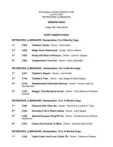 2007 Specialty Results - Winnebago Labrador Retriever Club