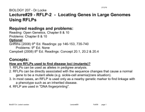 RFLP-2 - Locating Genes in Large Genomes Using RFLPs