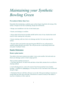 Maintaining your Bowling Green