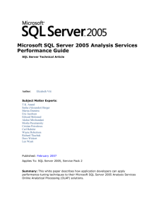 Microsoft SQL Server 2005 Analysis Services Performance Guide