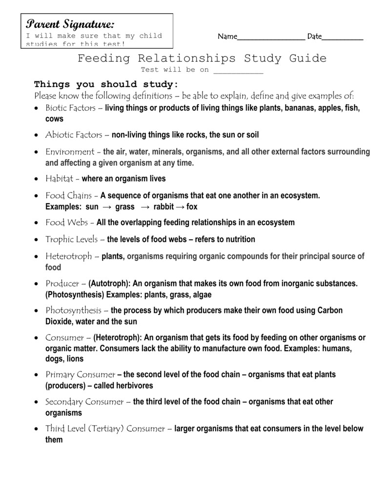 Food Chains - Study Guide Answer Key With Food Web Worksheet Answers