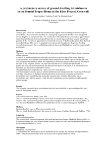 A Preliminary Survey Of Ground Dwelling Invertebrates